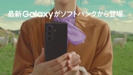 7810:19:00000177.jpg