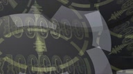 7810:23:00000013.jpg