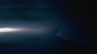 7810:4:00000097.jpg
