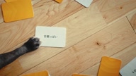 7810:6:00000178.jpg