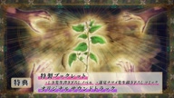 7811:12:00000113.jpg