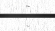 7811:6:00000184.jpg