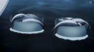 7811:9:00000102.jpg