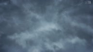 7811:9:00000118.jpg