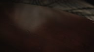 7811:9:00000166.jpg