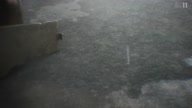 7823:1:00000266.jpg