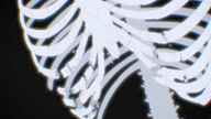 7823:10:00000096.jpg