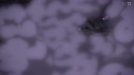 7823:11:00000102.jpg