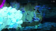 7823:12:00000033.jpg