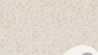 7886:12:00000146.jpg