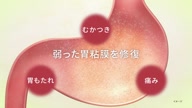 7886:4:00000171.jpg