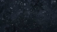 7890:1:00000098.jpg