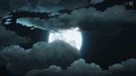 7890:10:00000038.jpg