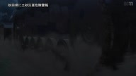 7890:4:00000068.jpg