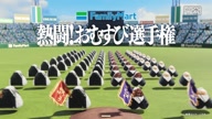 7892:8:00000112.jpg