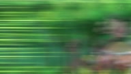 7899:10:00000120.jpg