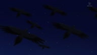 7899:2:00000136.jpg