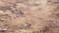 7899:5:00000112.jpg
