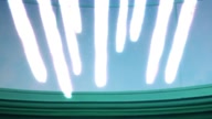 7899:9:00000098.jpg
