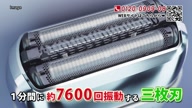 7907::00000019.jpg