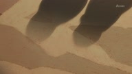 7907::00000189.jpg