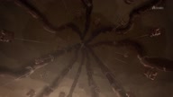 7907:10:00000039.jpg