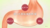 7907:11:00000003.jpg