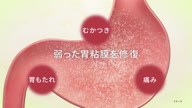 7907:11:00000113.jpg