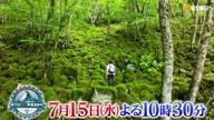 7907:3:00000183.jpg