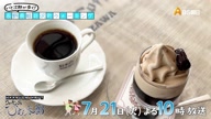 7907:4:00000182.jpg