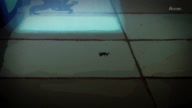 7907:5:00000074.jpg