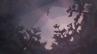 7907:6:00000050.jpg