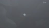 7907:9:00000051.jpg