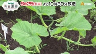 7907:9:00000177.jpg