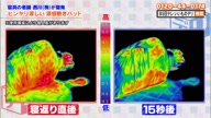 7919:10:00000177.jpg