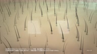 7919:3:00000002.jpg