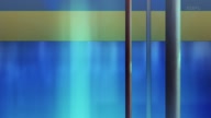 7919:3:00000079.jpg