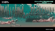 7919:8:00000170.jpg
