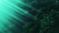 7923:11:00000034.jpg