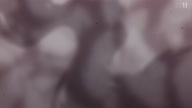 7923:12:00000033.jpg