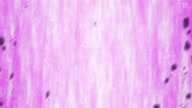 7923:12:00000074.jpg