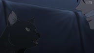 7923:3:00000057.jpg