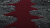 7923:5:00000028.jpg