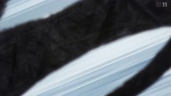 7923:7:00000137.jpg