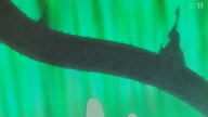 7923:8:00000108.jpg