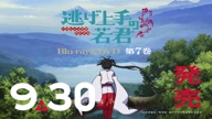 7931:13:00000077.jpg
