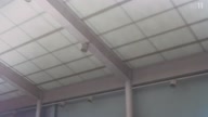 7931:13:00000123.jpg
