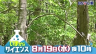 7941:44:00000020.jpg