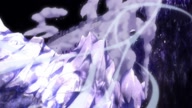 7941:44:00000074.jpg