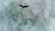 7941:44:00000128.jpg